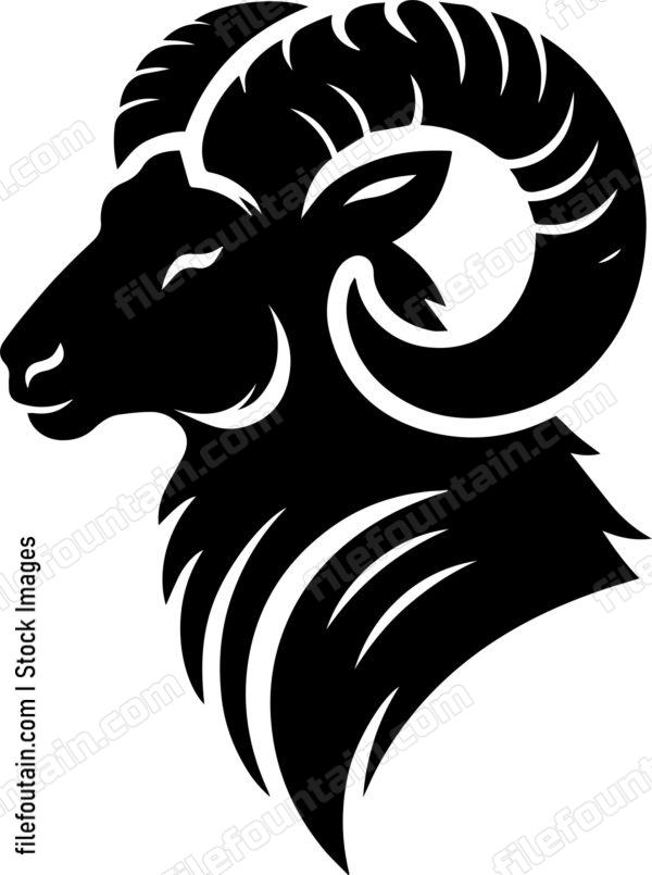 Ram