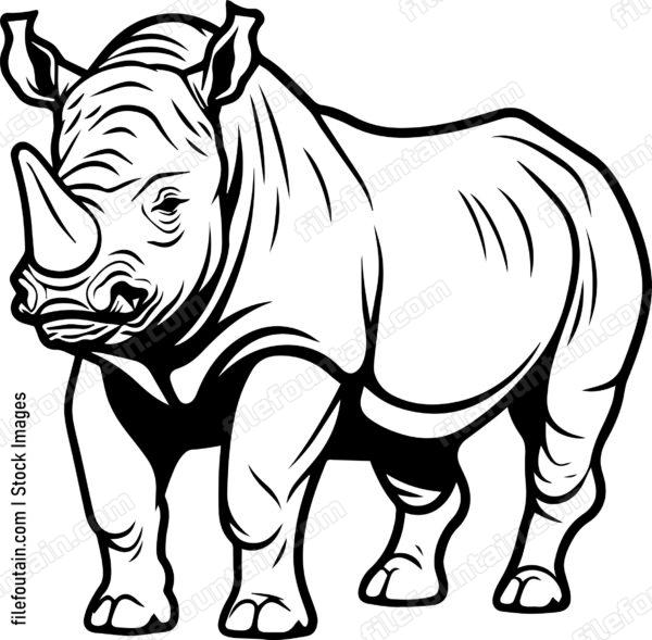 Rhino