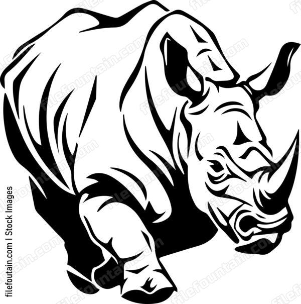 Rhino running