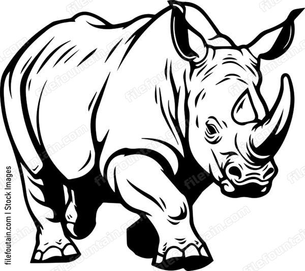 Rhino running