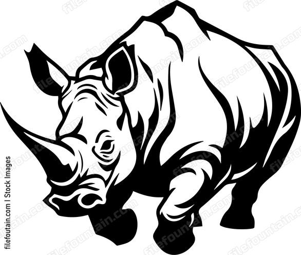 Rhino running