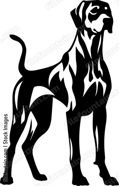 Rhodesian Ridgeback