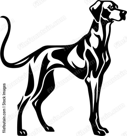 Rhodesian Ridgeback