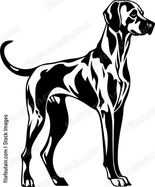 Rhodesian Ridgeback Logo Vector Design - FileFountain