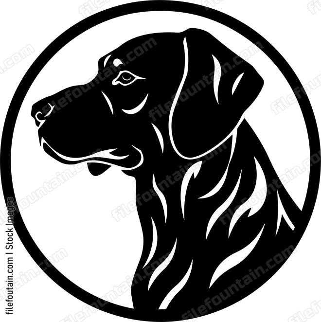 Rhodesian Ridgeback