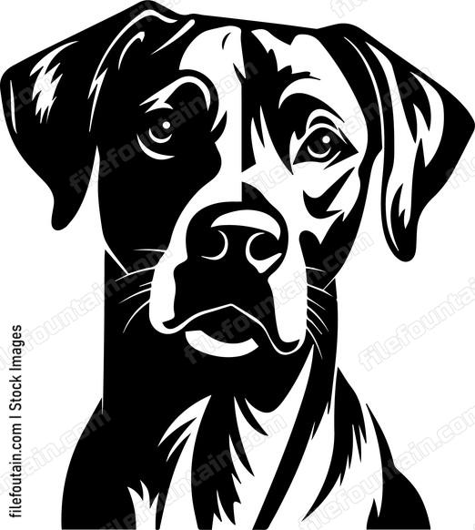 Rhodesian Ridgeback