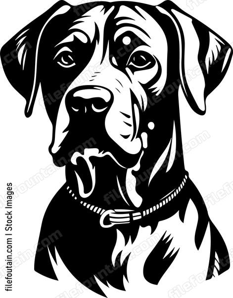 Rhodesian Ridgeback