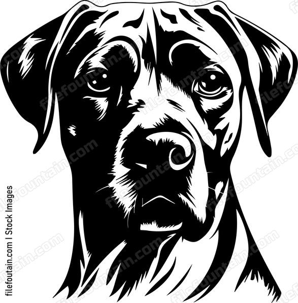 Rhodesian Ridgeback