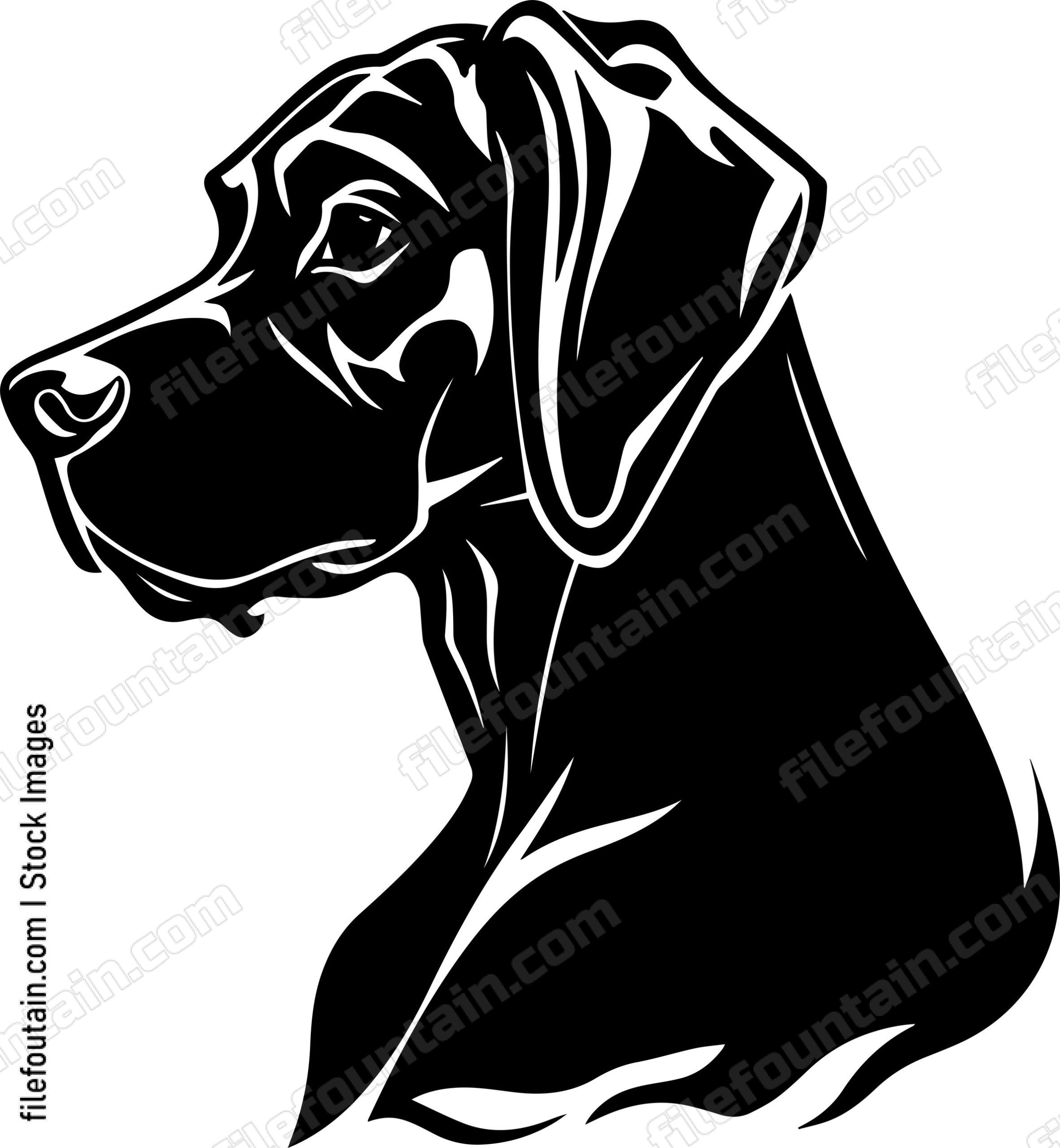 Rhodesian Ridgeback