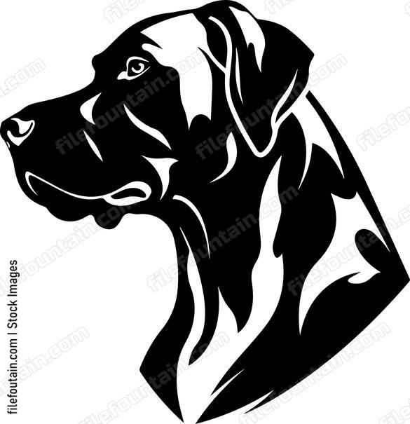 Rhodesian Ridgeback