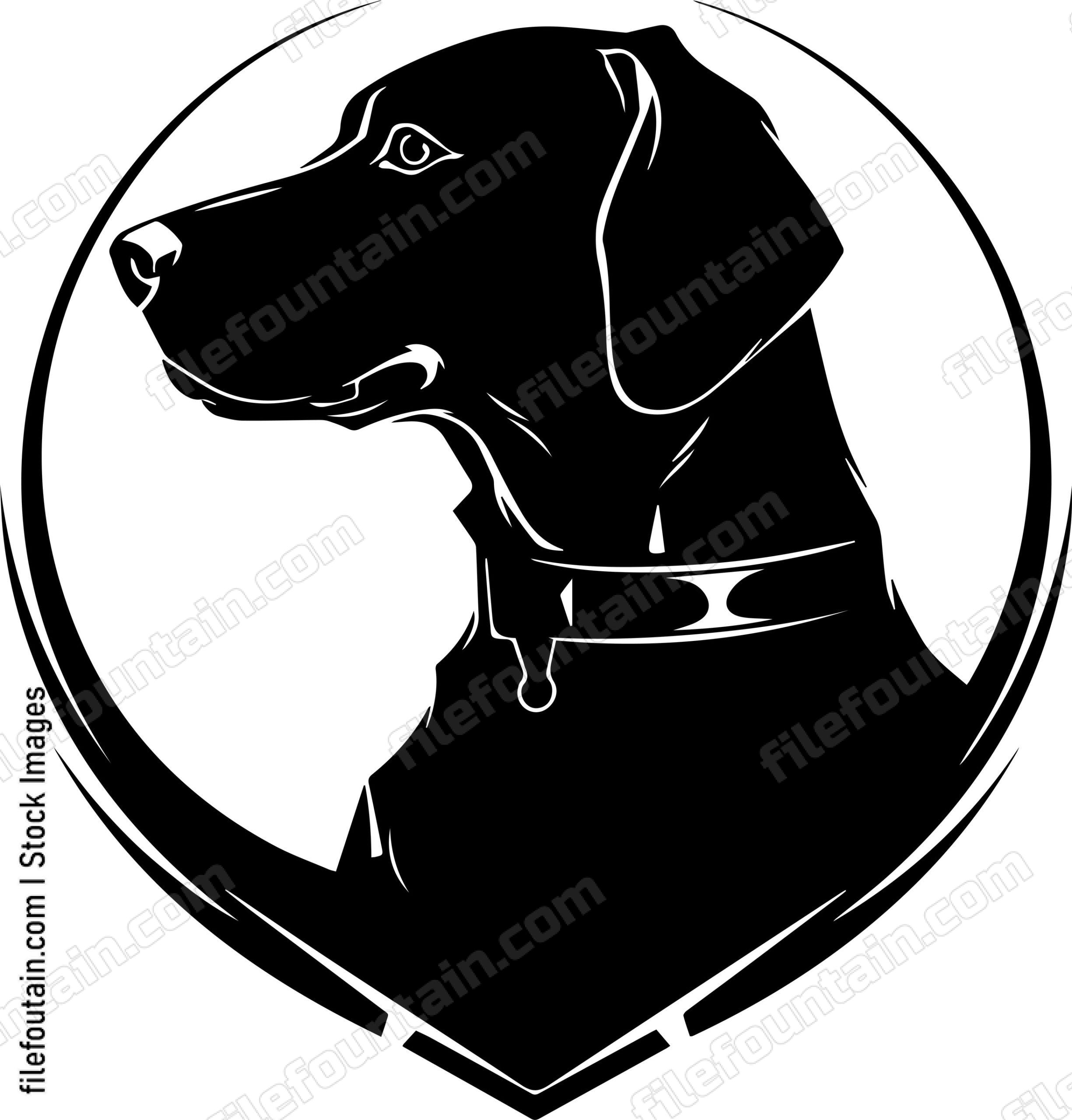 Rhodesian Ridgeback