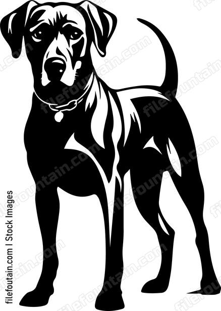 Rhodesian Ridgeback