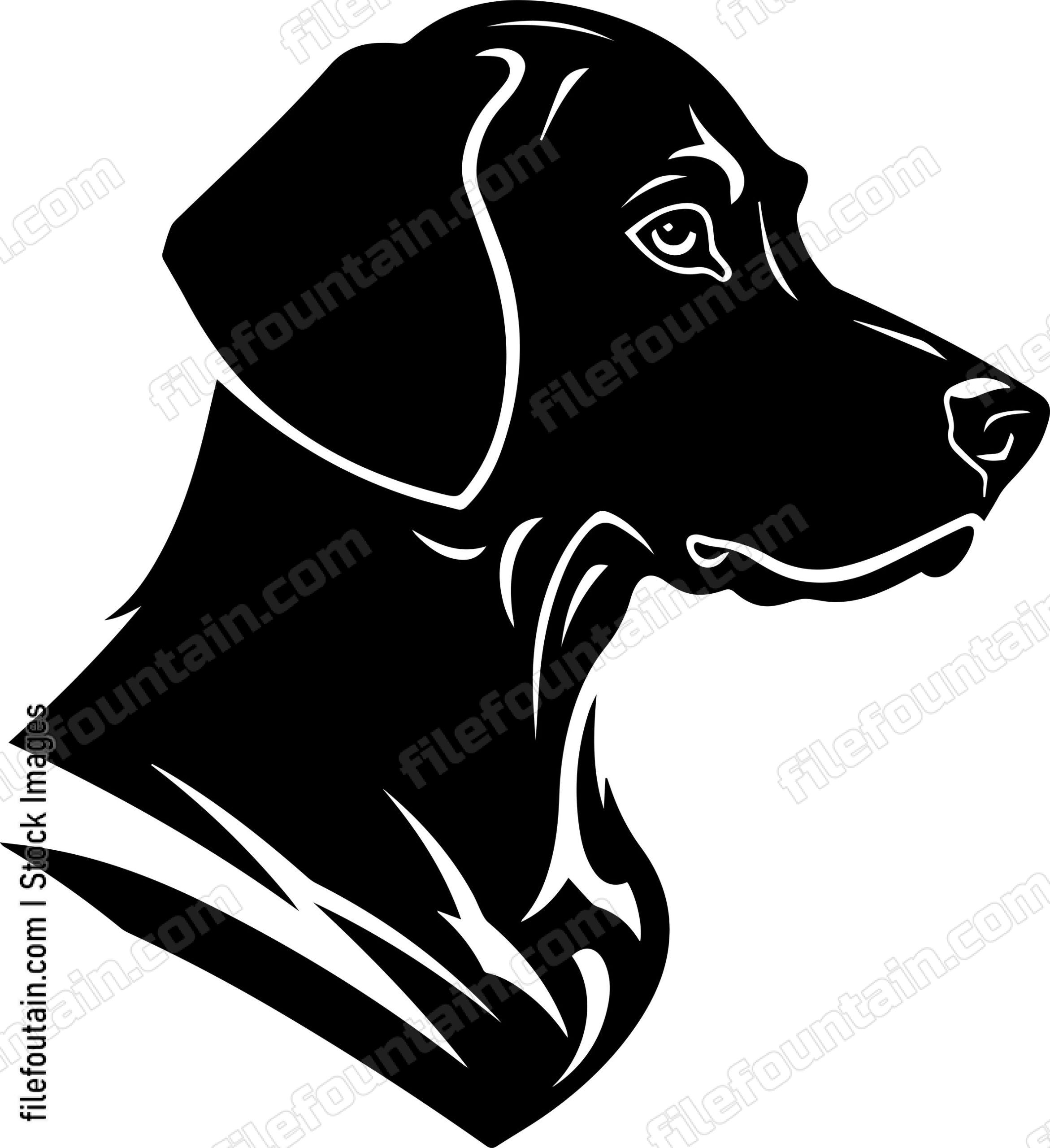 Rhodesian Ridgeback