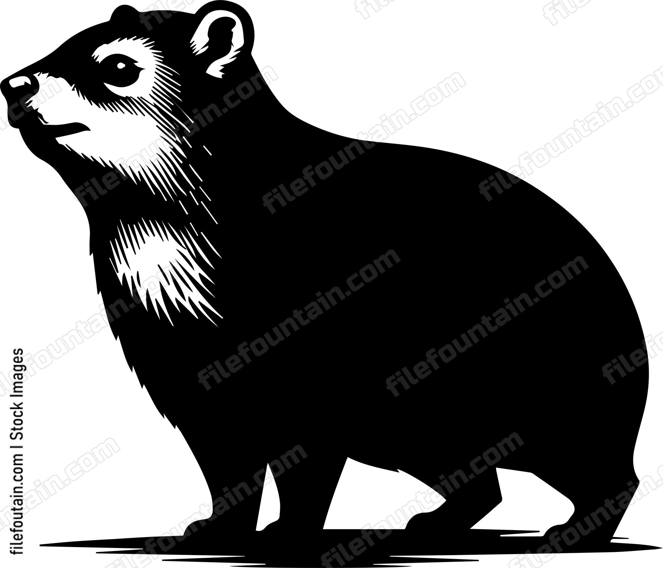 Rock Hyrax