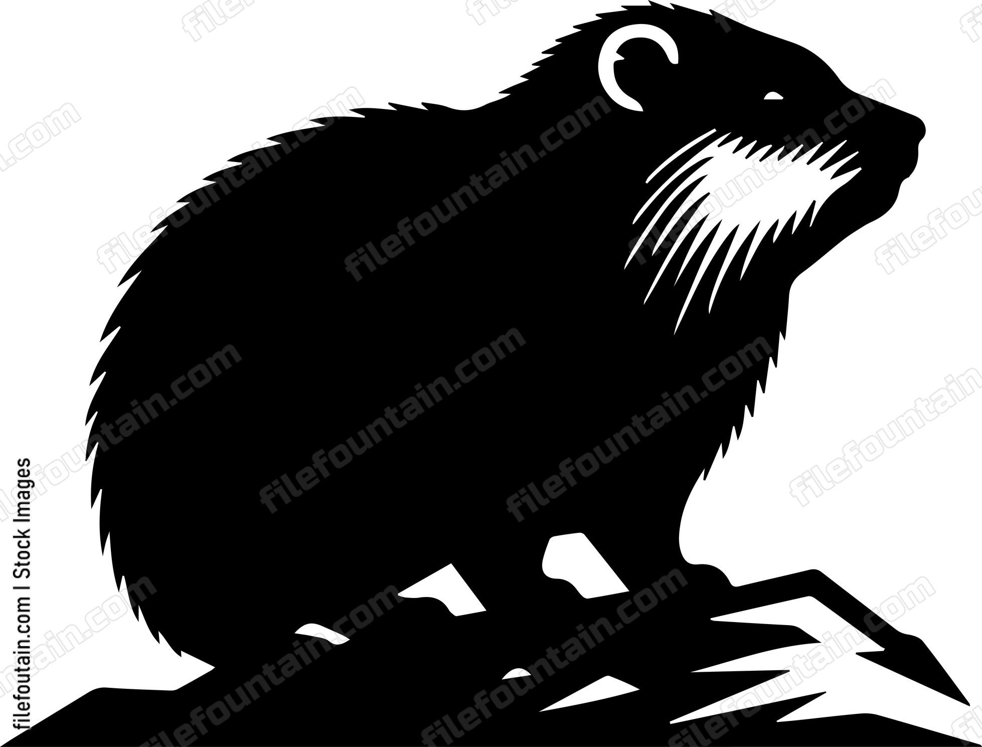 Rock Hyrax