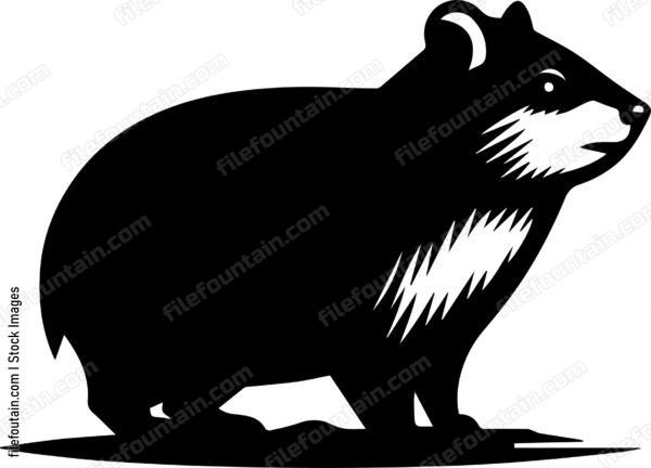 Rock Hyrax