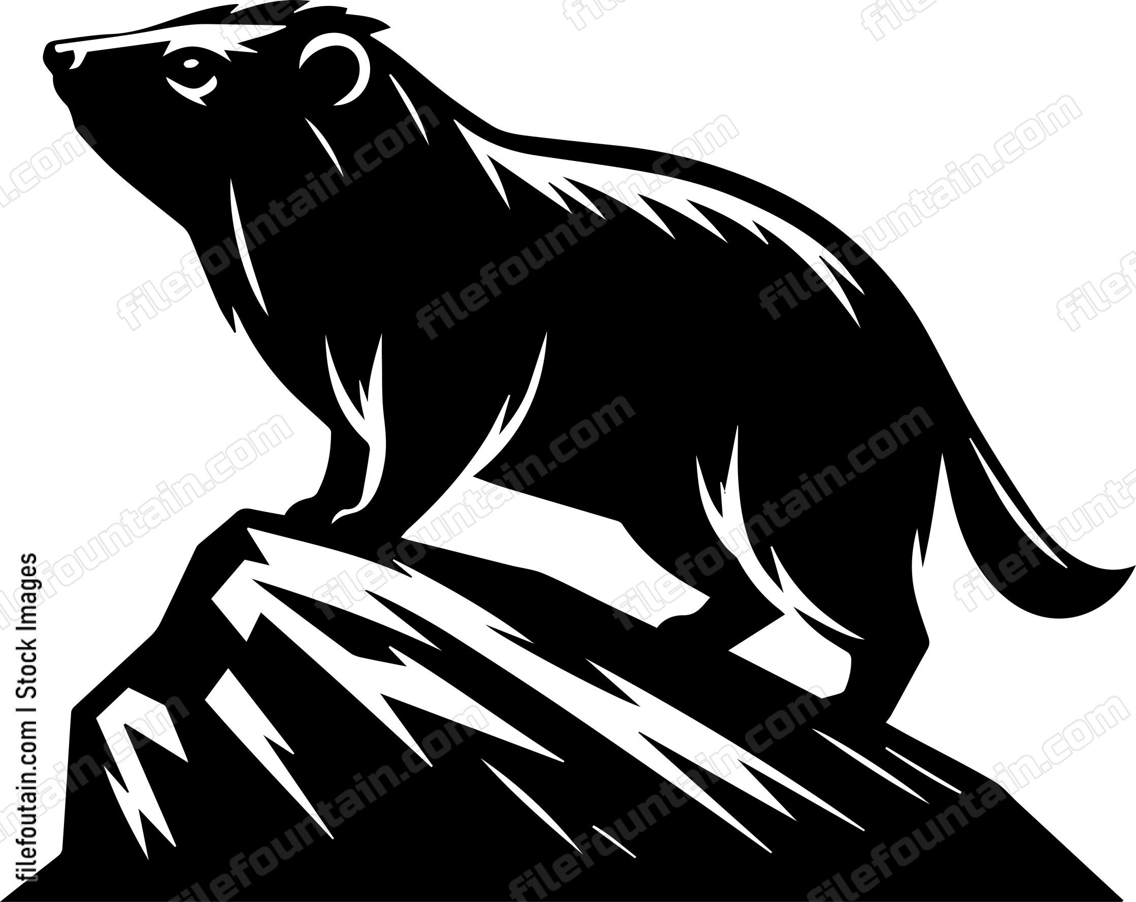 Rock Hyrax