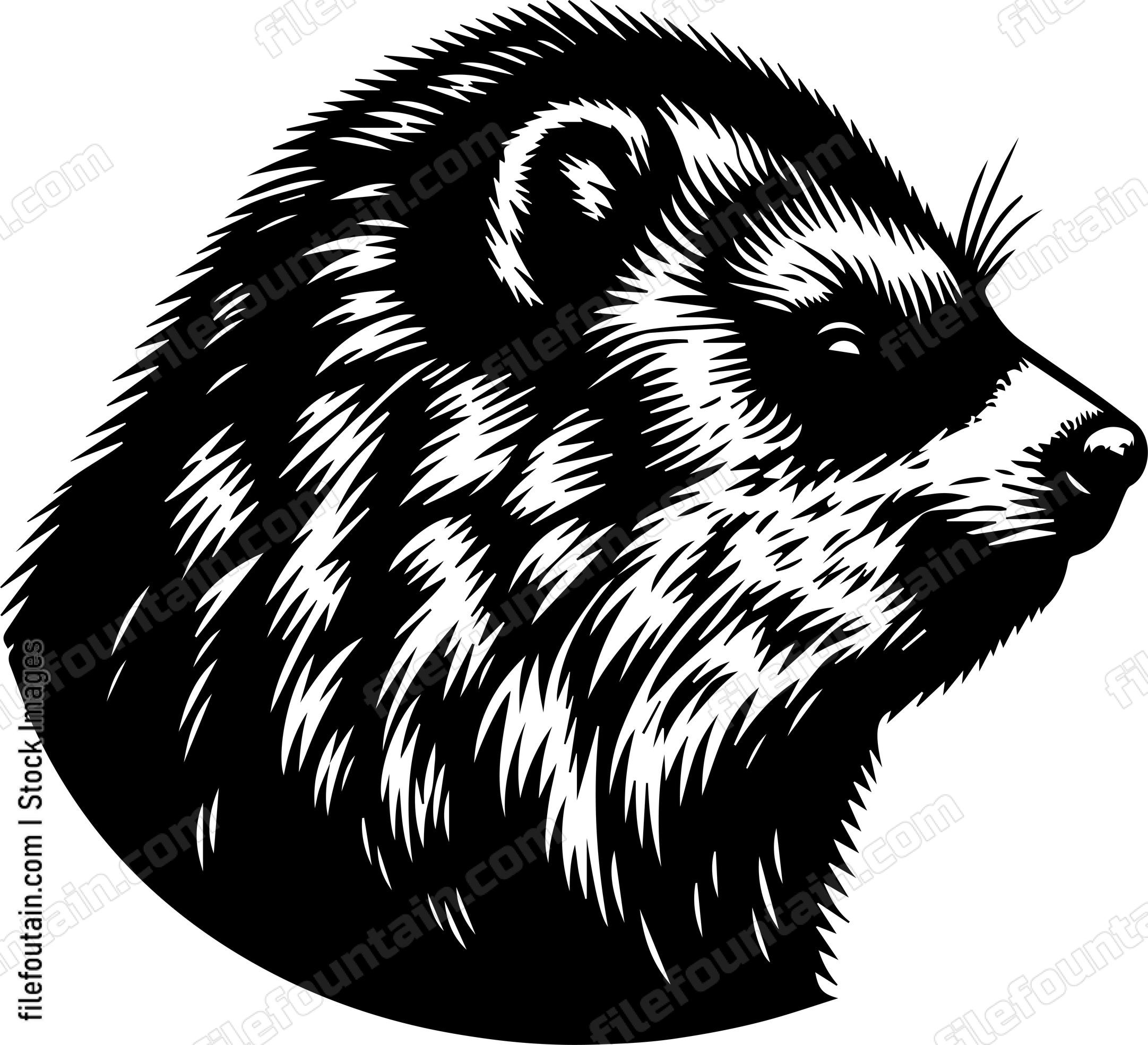 Rock Hyrax