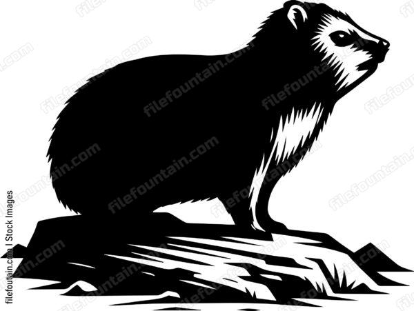 Rock Hyrax