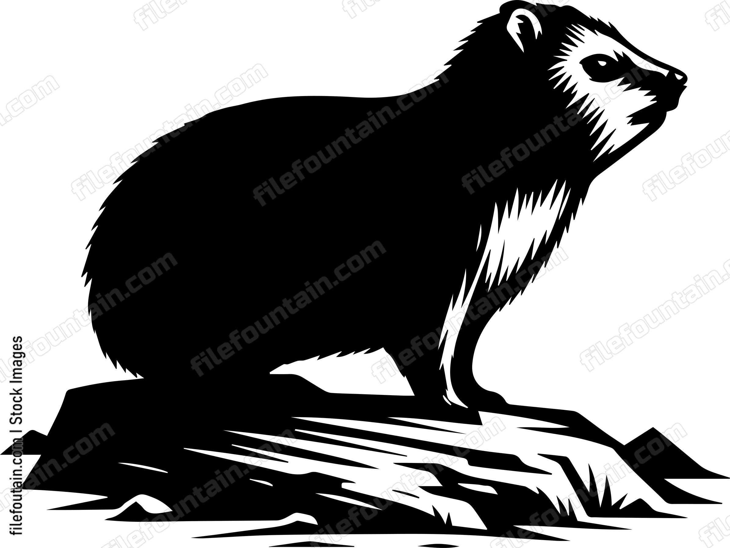Rock Hyrax