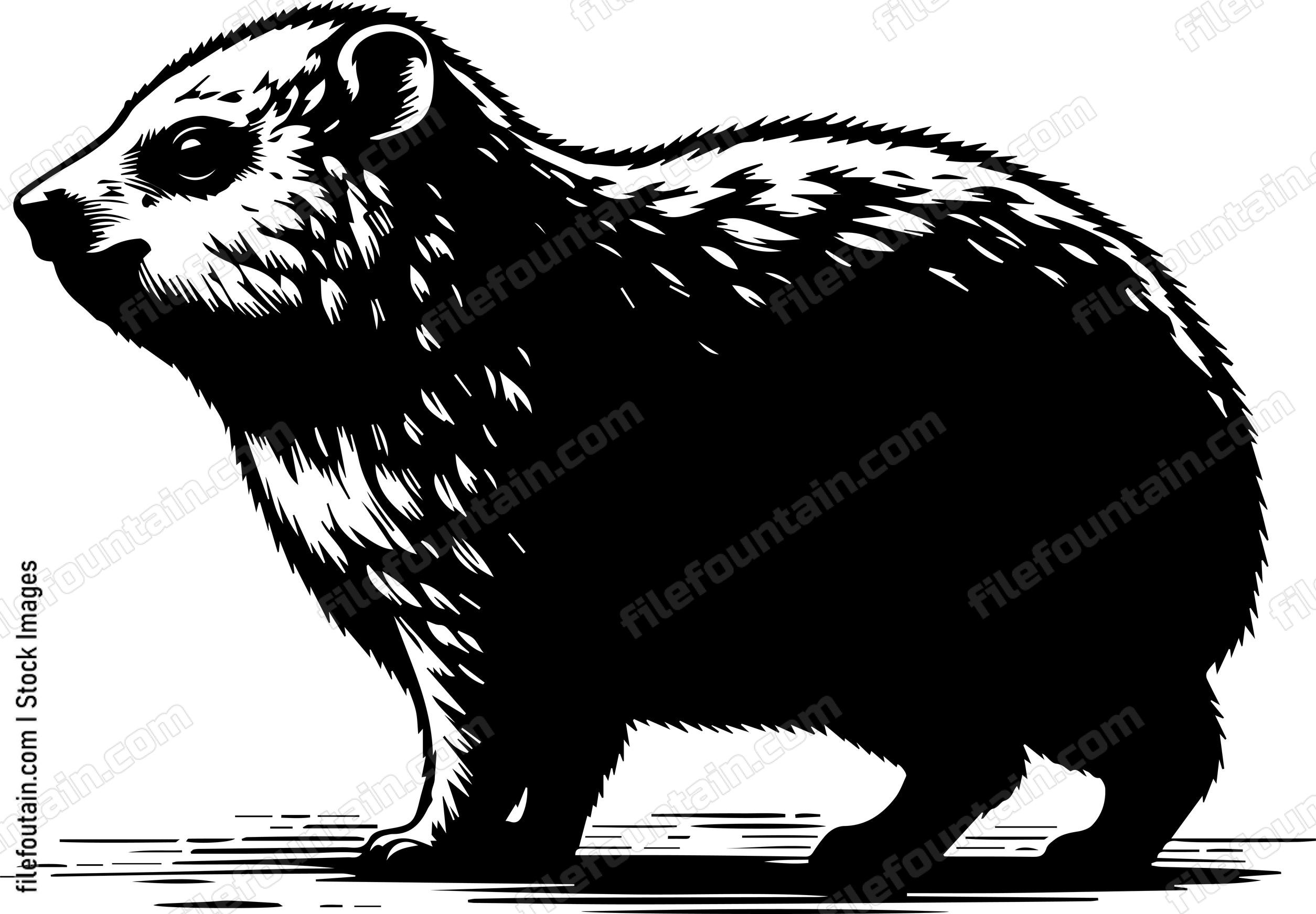 Rock Hyrax
