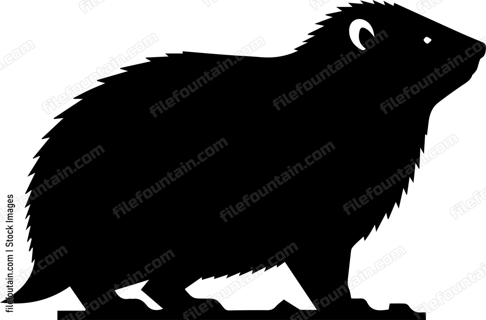Rock Hyrax