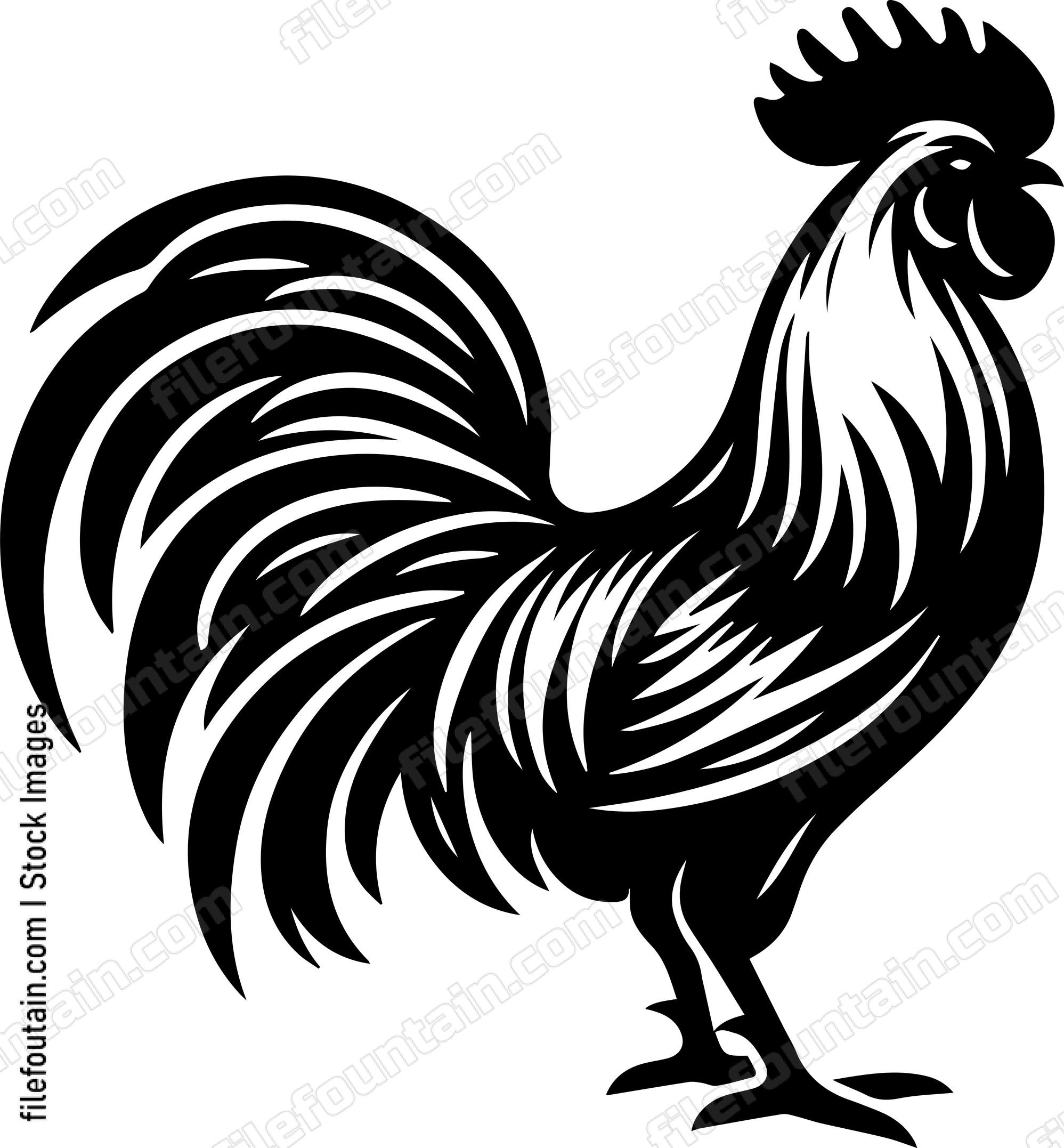 Rooster