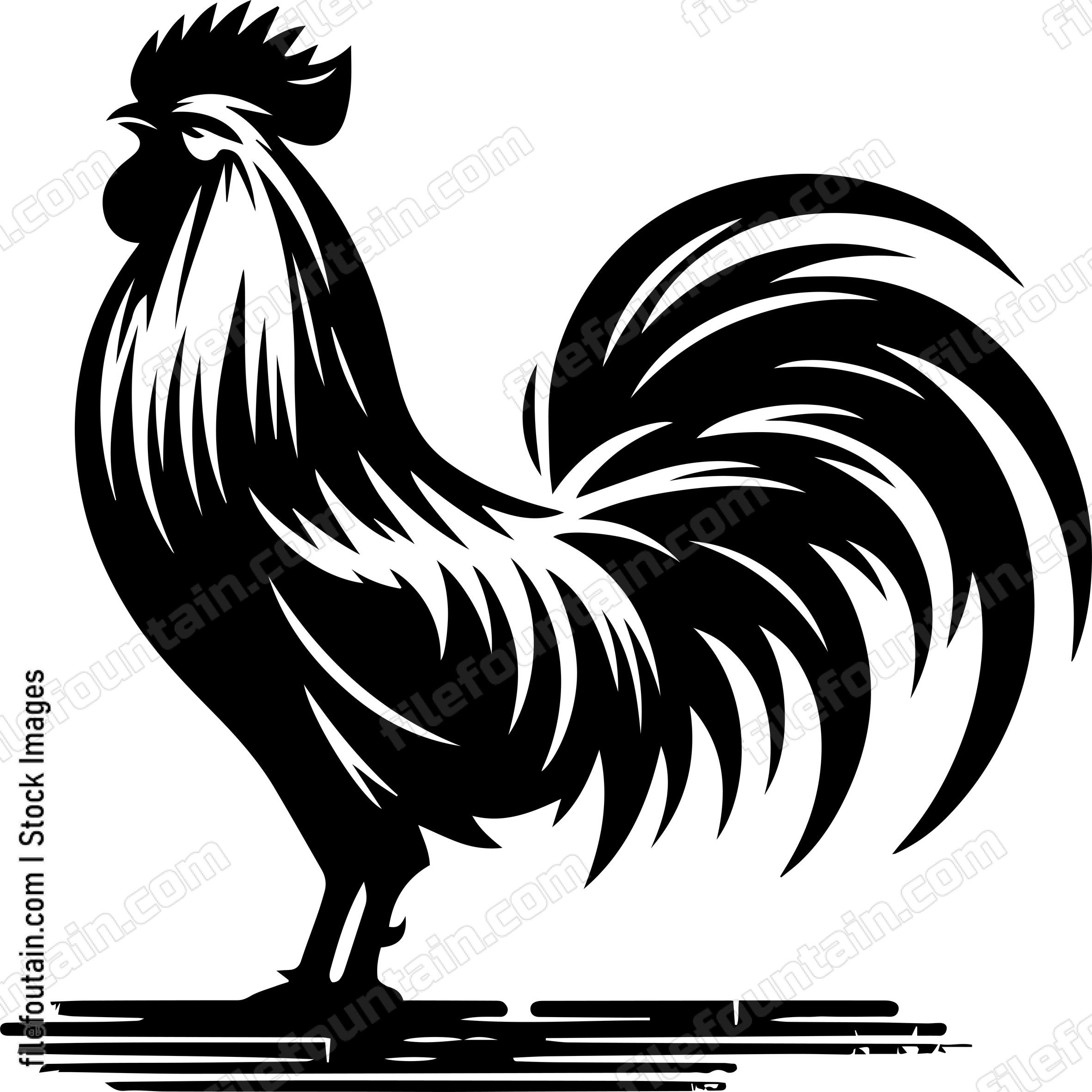 Rooster