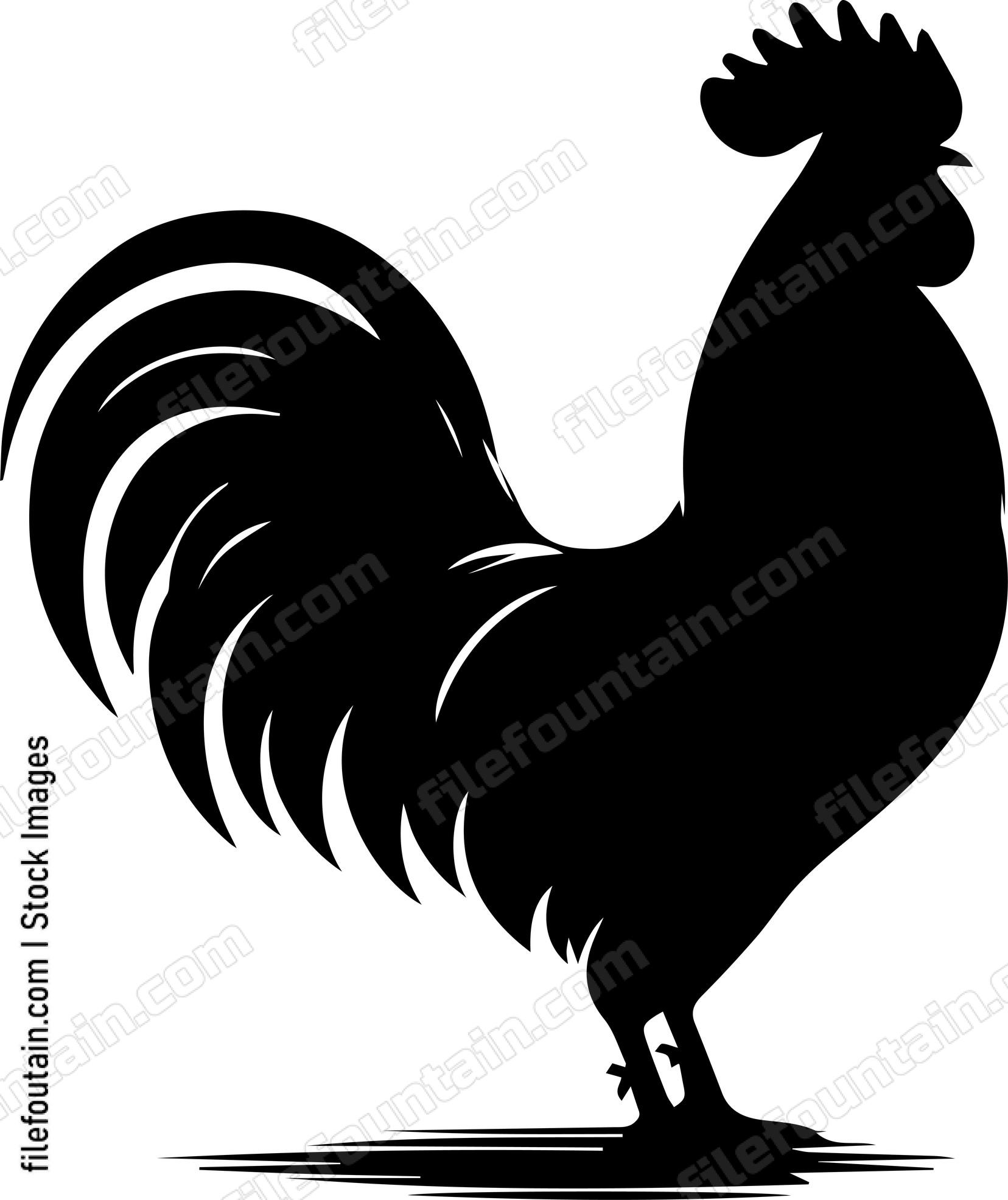 Rooster