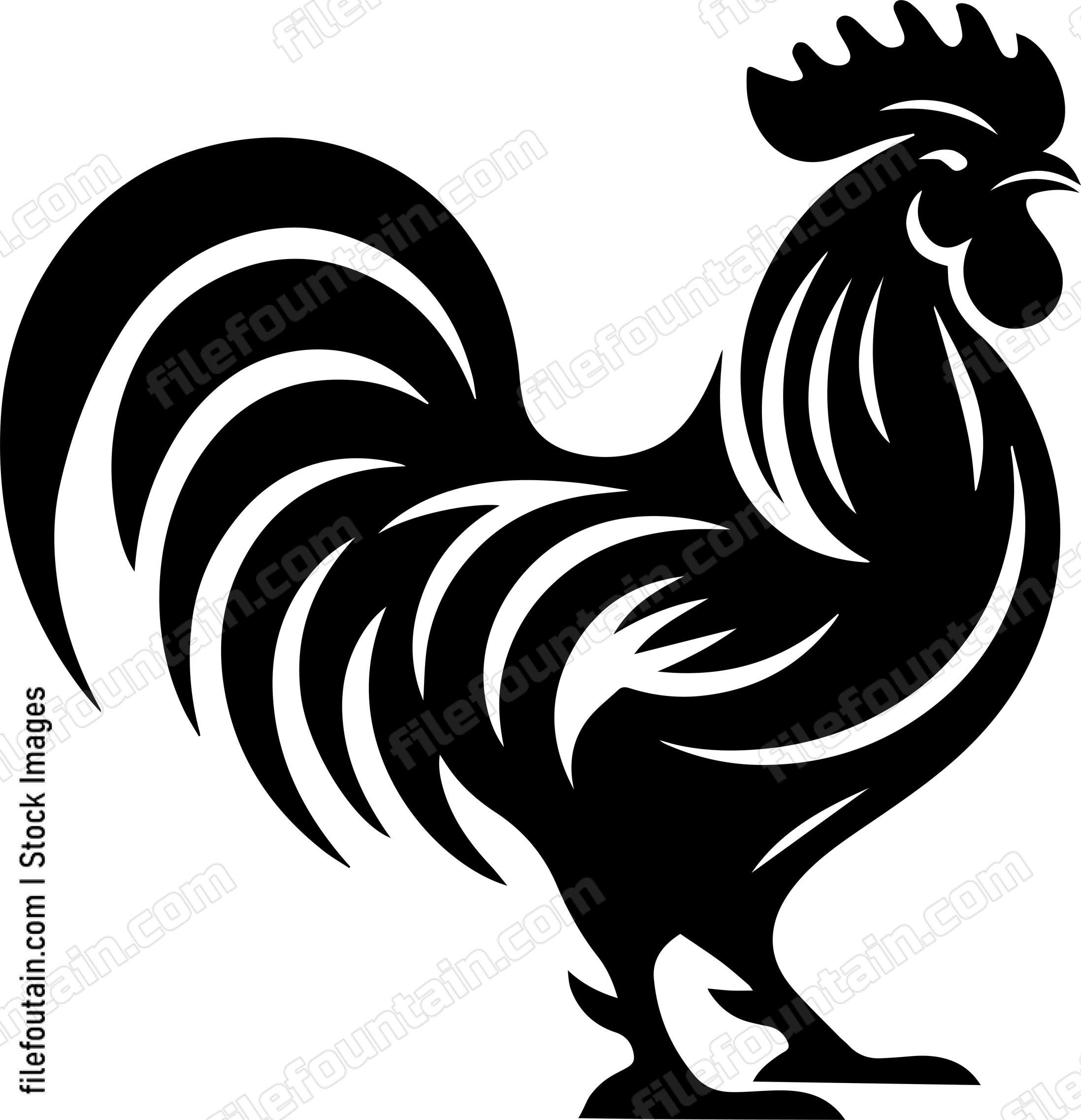 Rooster