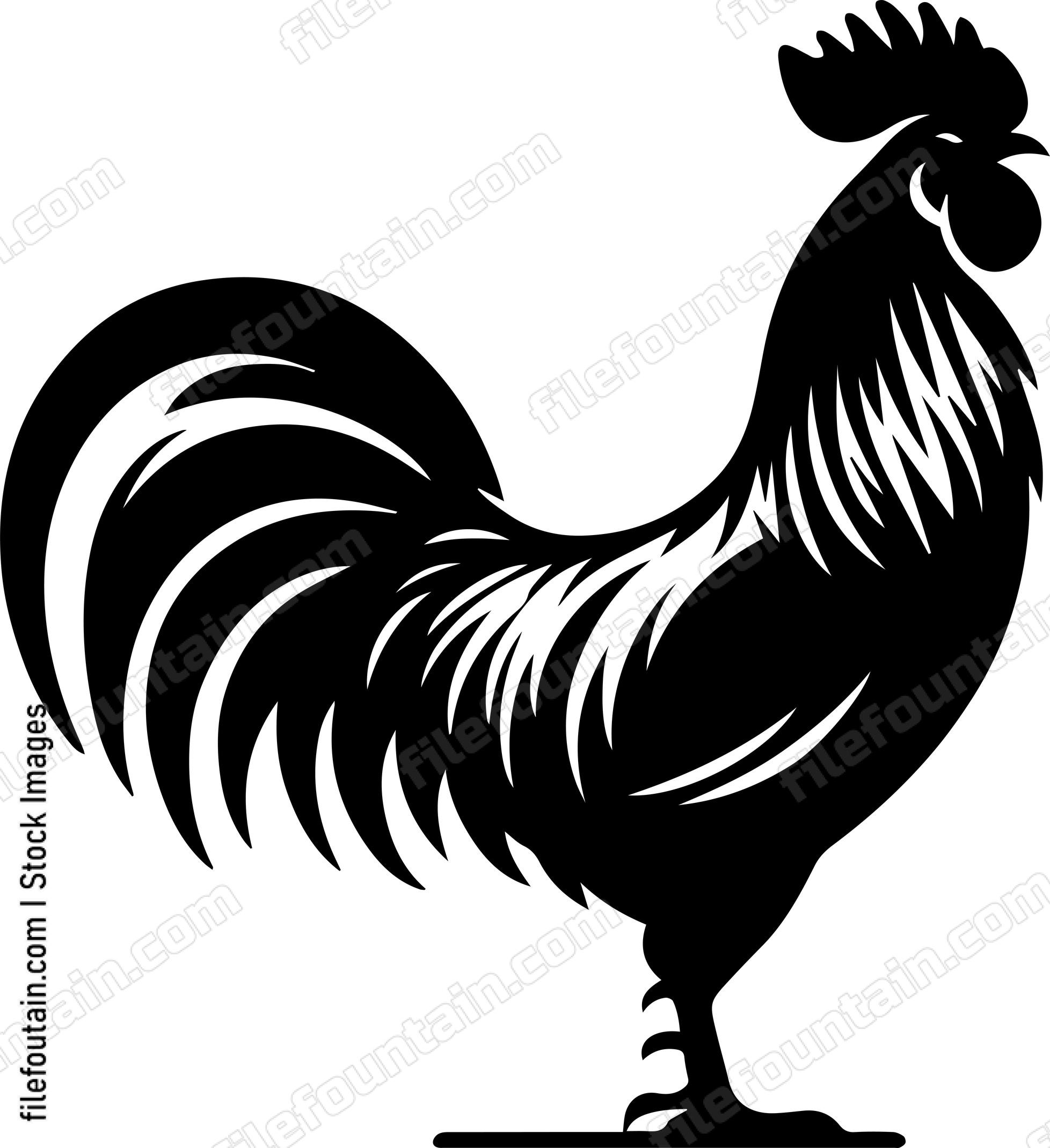 Rooster