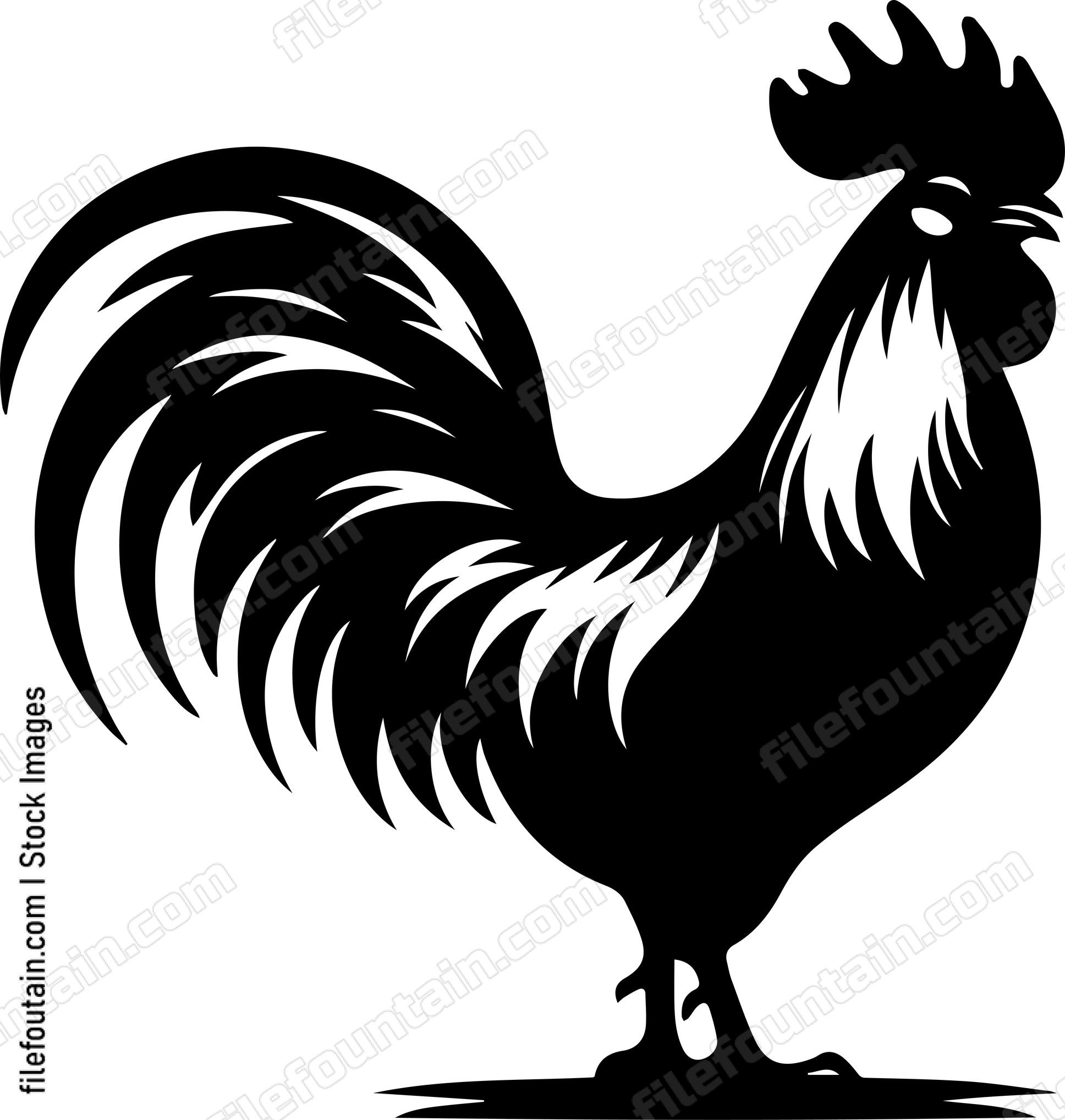 Rooster