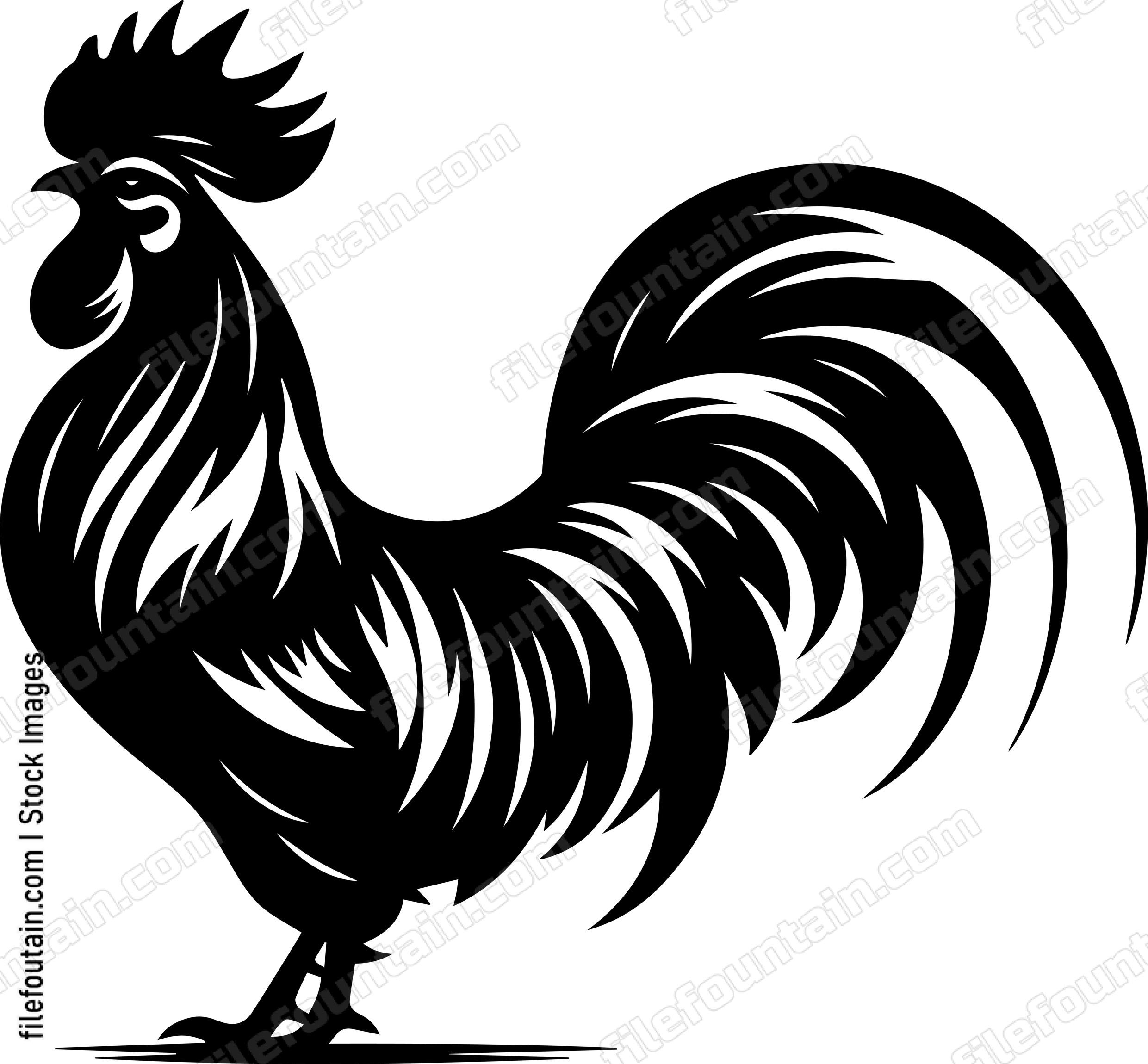 Rooster