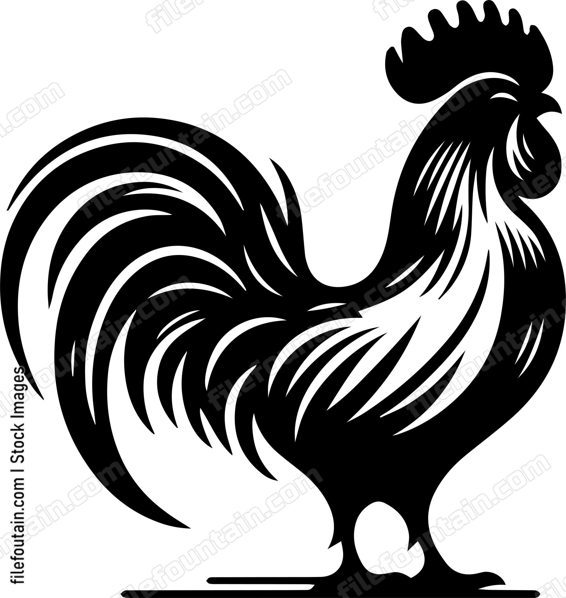 Rooster