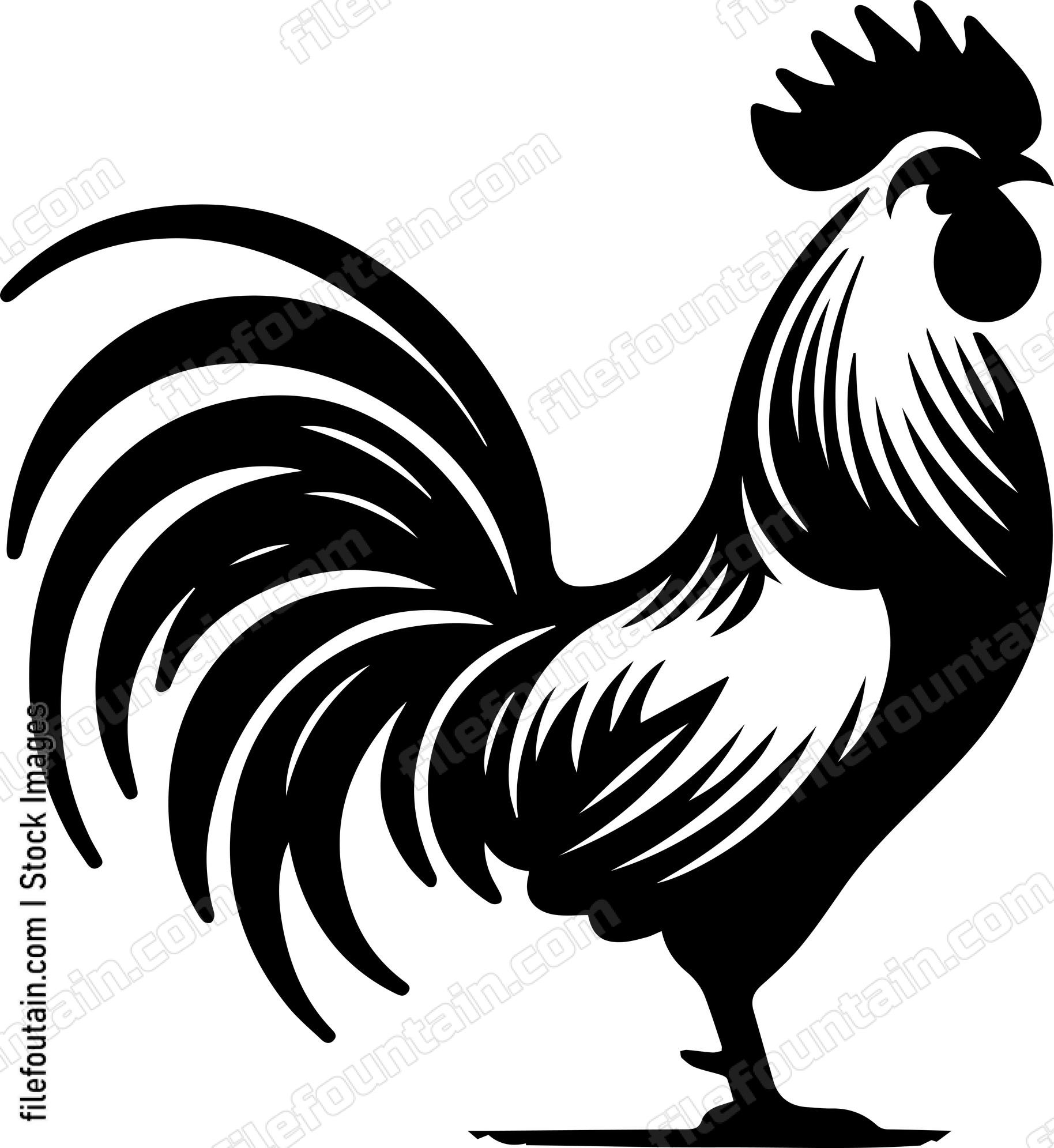 Rooster
