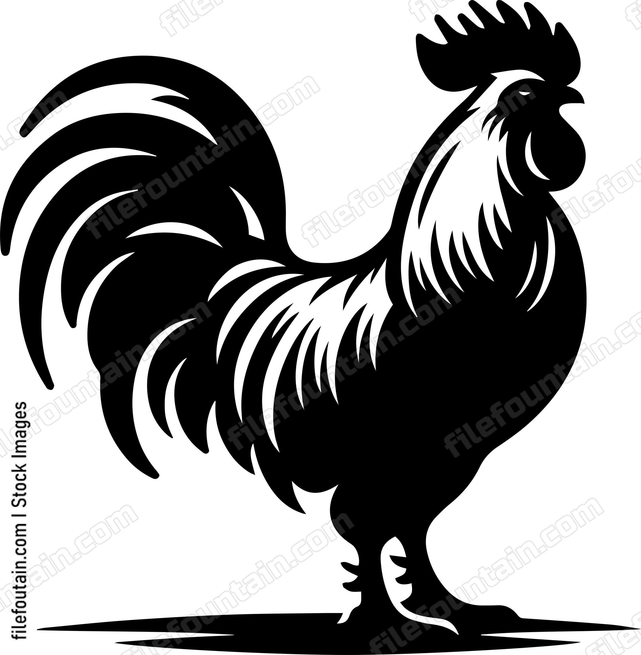 Rooster