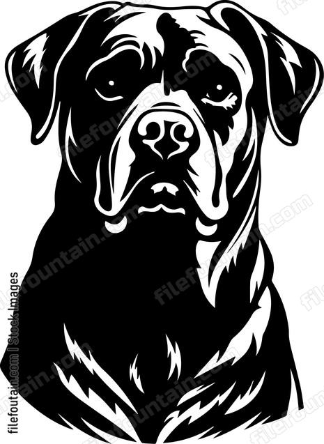 Rottweiler