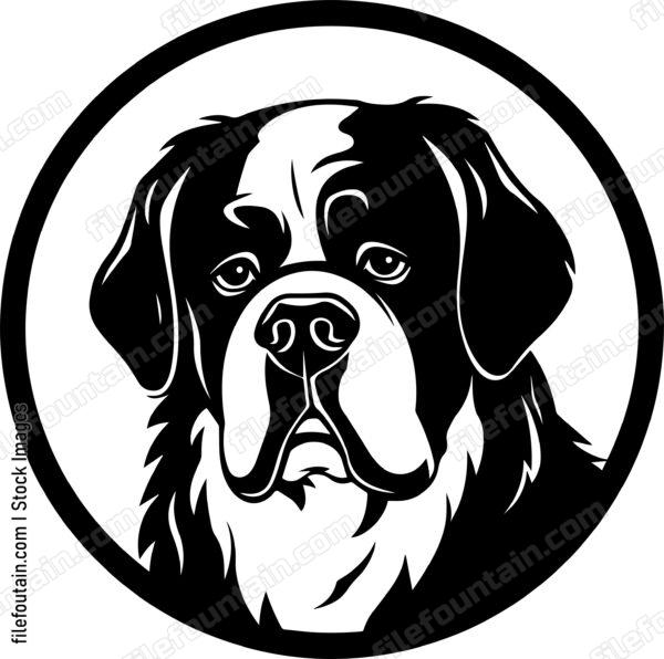 Saint Bernard
