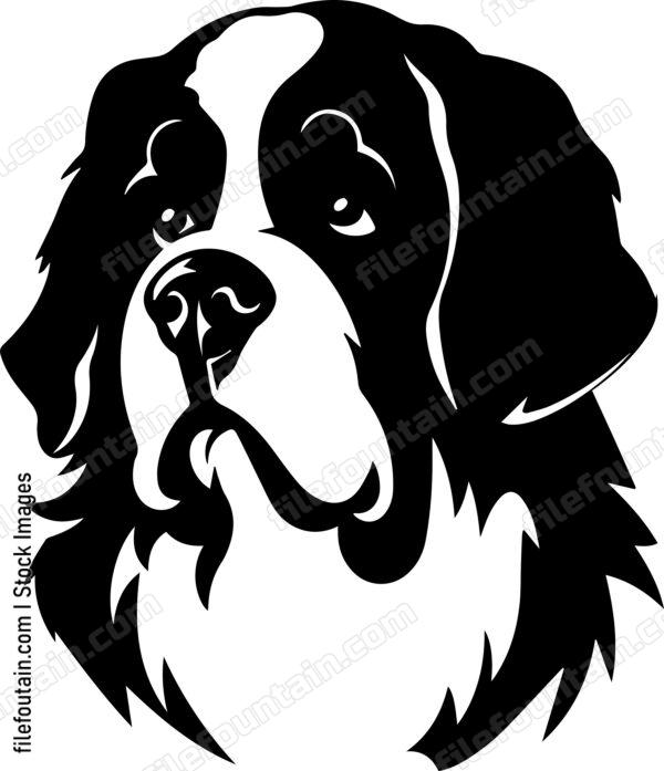 Saint Bernard