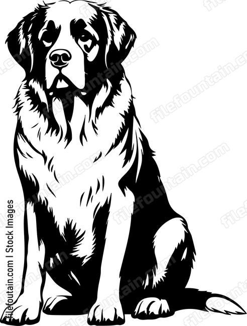 Saint Bernard