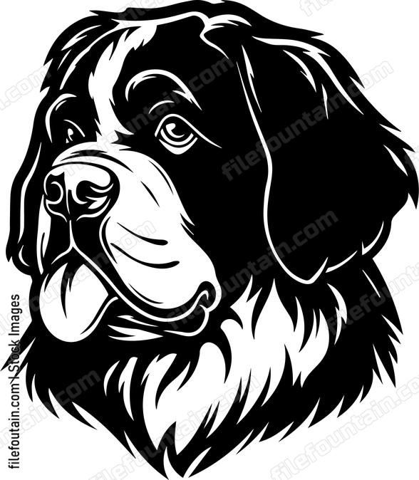 Saint Bernard
