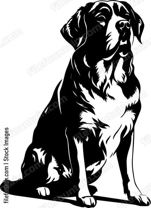 Saint Bernard