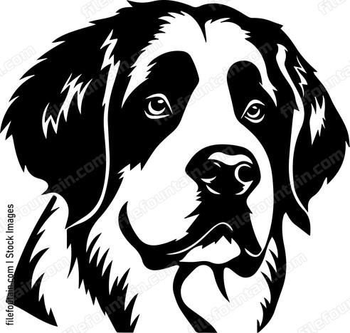 Saint Bernard
