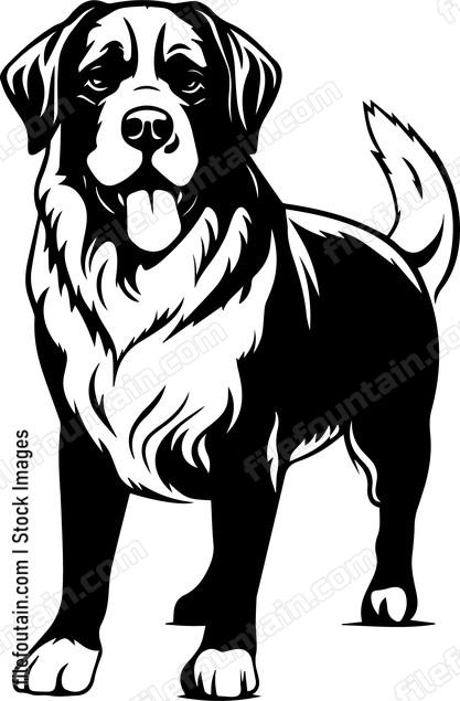 Saint Bernard