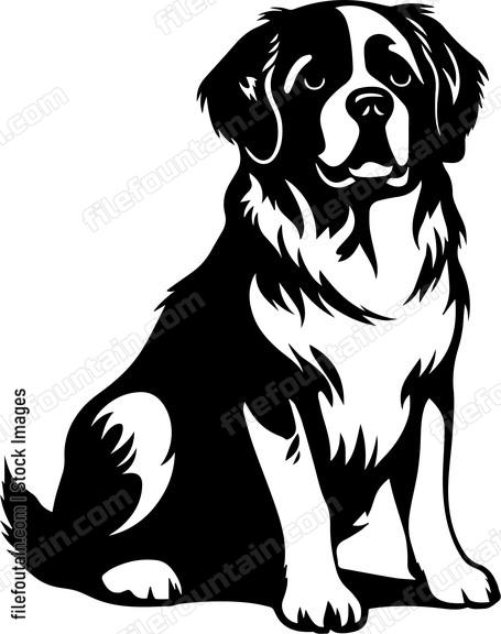 Saint Bernard