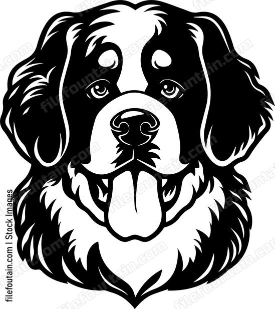 Saint Bernard
