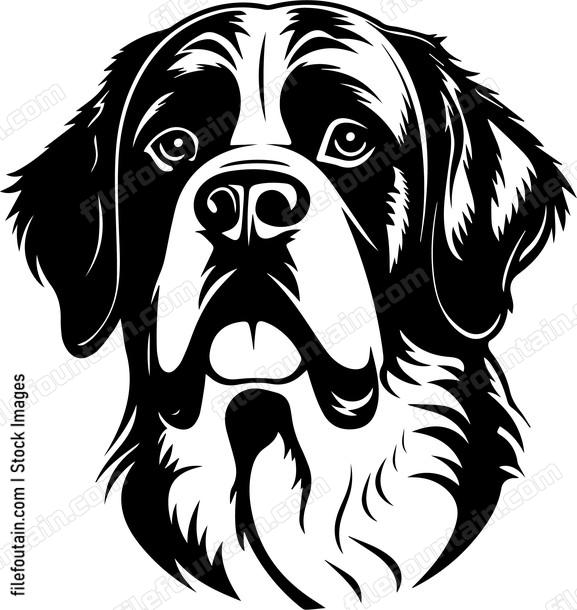 Saint Bernard
