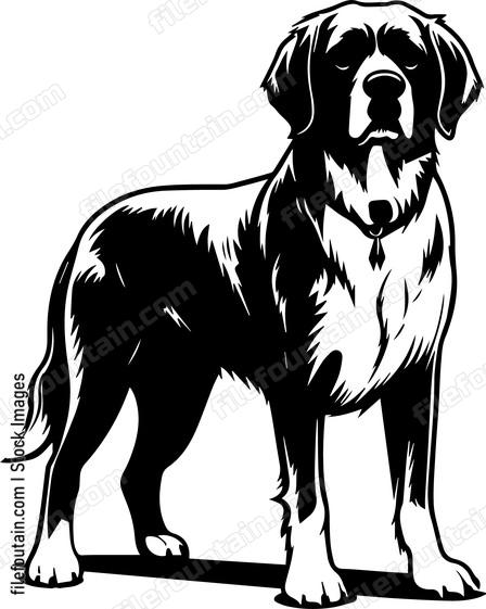 Saint Bernard