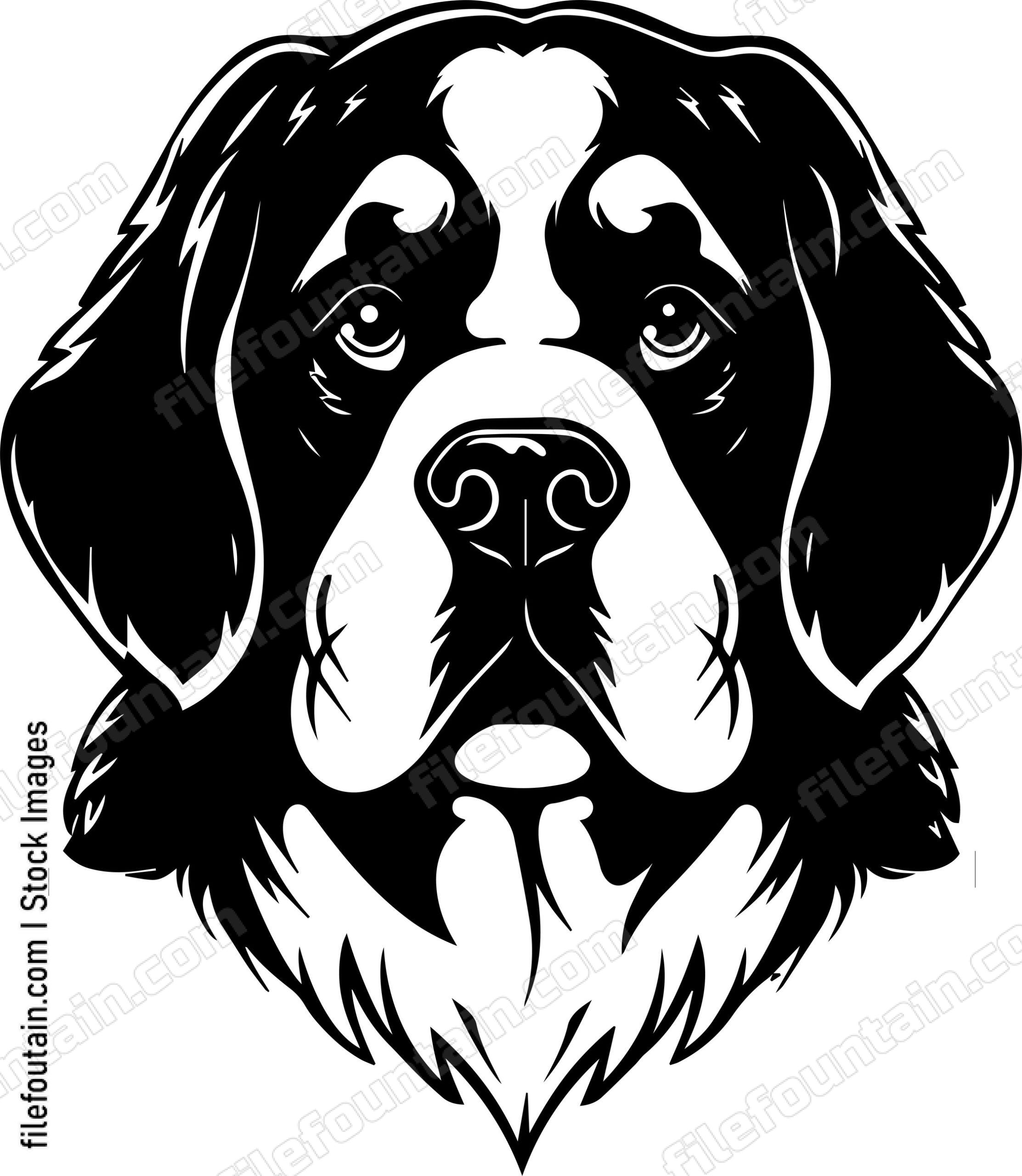 Saint Bernard