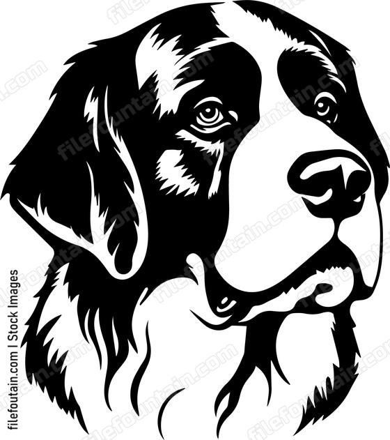 Saint Bernard